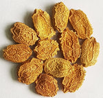 Bitter Gourd Seeds