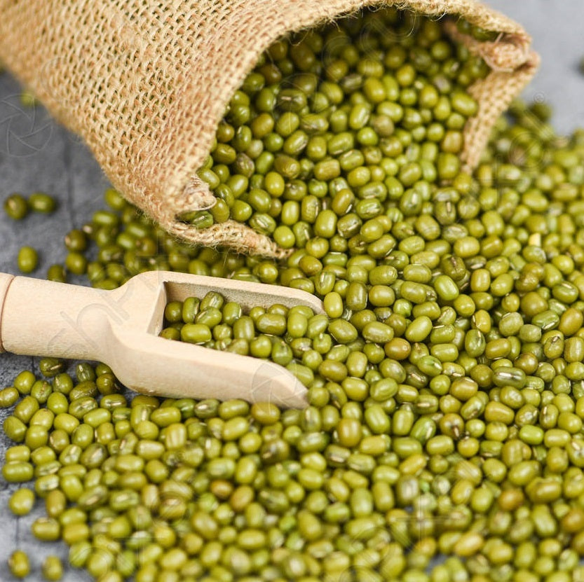 Green Gram ( Moong Whole with Skin - Naturally Grown) - பாசிப் பயறு - పెసలు - ಹೆಸರು ಕಾಳು - ചേരുപയർ