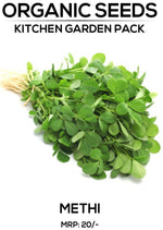 Methi Seeds