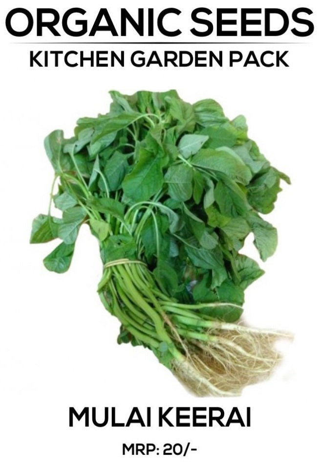 Mulai Keerai Seeds