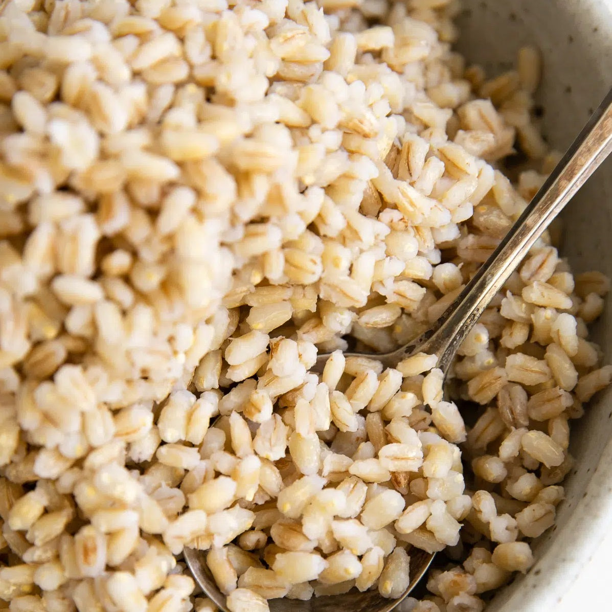 Pearl Barley ( Dehusked and eatable form) - Naturally Grown