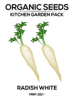 Radish White Seeds