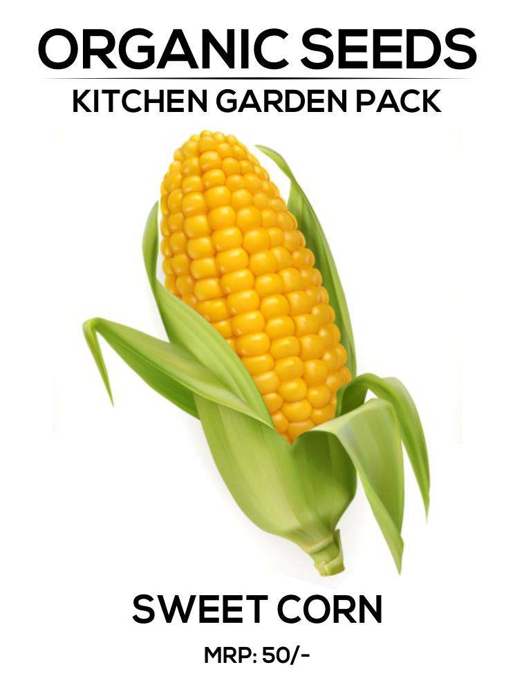 Sweet Corn Seeds
