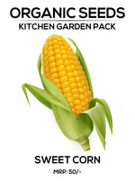 Sweet Corn Seeds