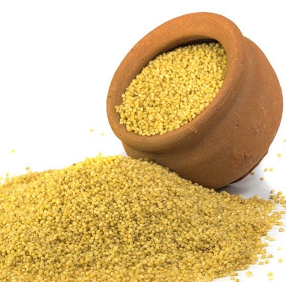 Unpolished Foxtail Millet ( Navane / Korralu / Thinai / Kakum / Thina - Naturally Grown)