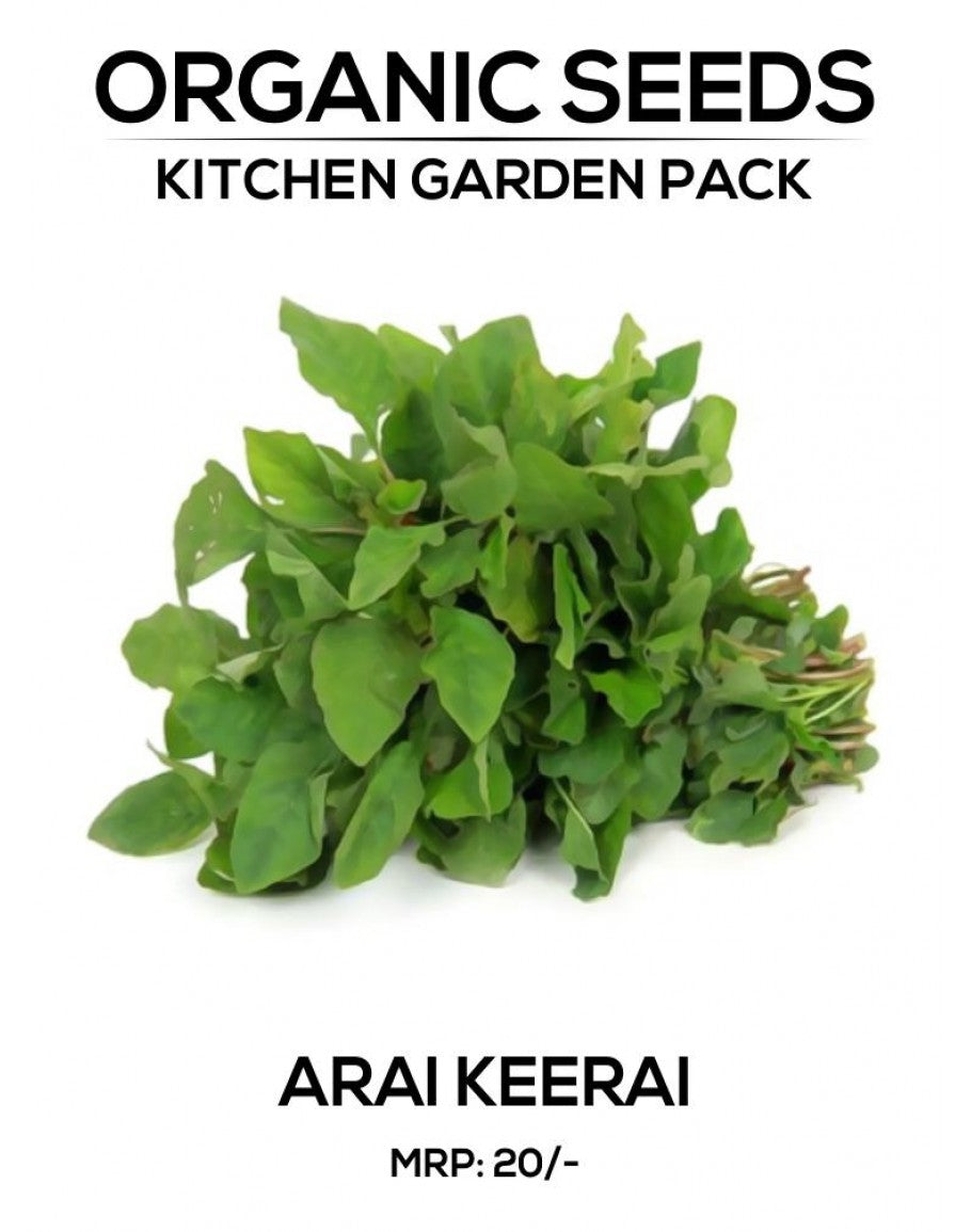 Arai Keerai Seeds