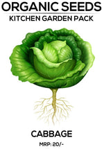 Cabbage Seeds
