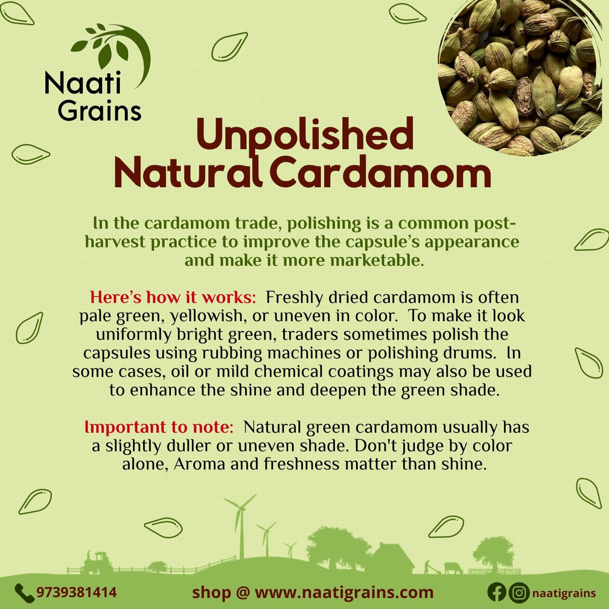 Unpolished Natural Cardamom - Elaichi - Elakki - Elakai - Naturally Grown