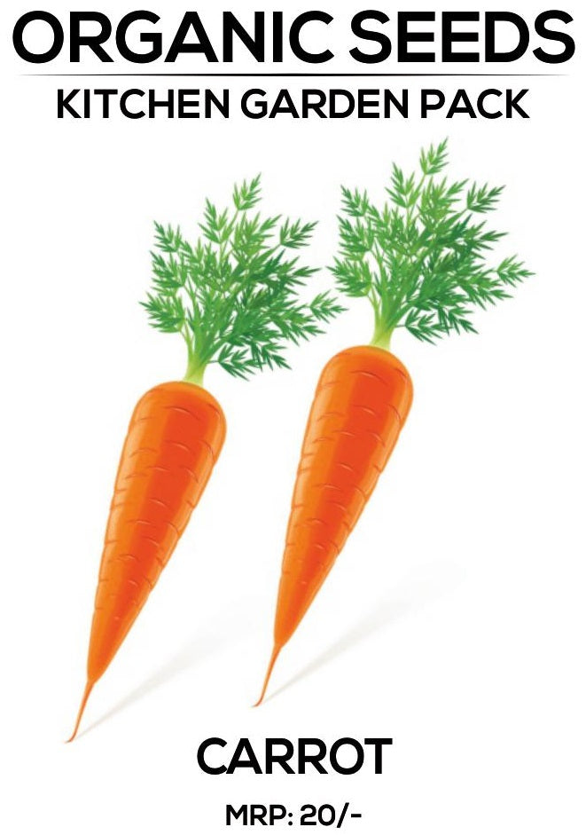 Carrot Seeds