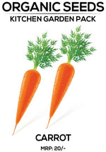 Carrot Seeds