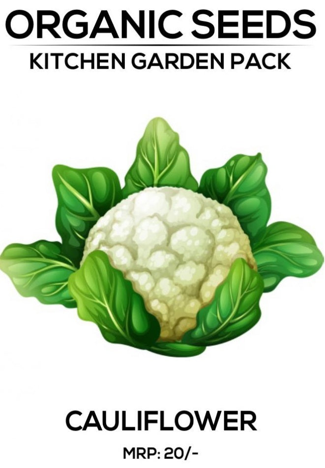 Cauliflower Seeds