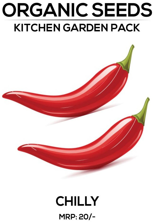 Chilly Seeds