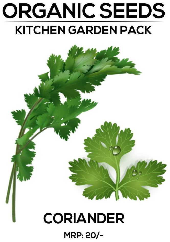 Coriander Seeds