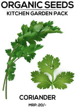 Coriander Seeds
