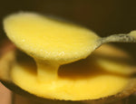 Desi Cow Ghee / A2 Cow Ghee (Bilona ghee / 100% Pure made from A2 Cow Milk)