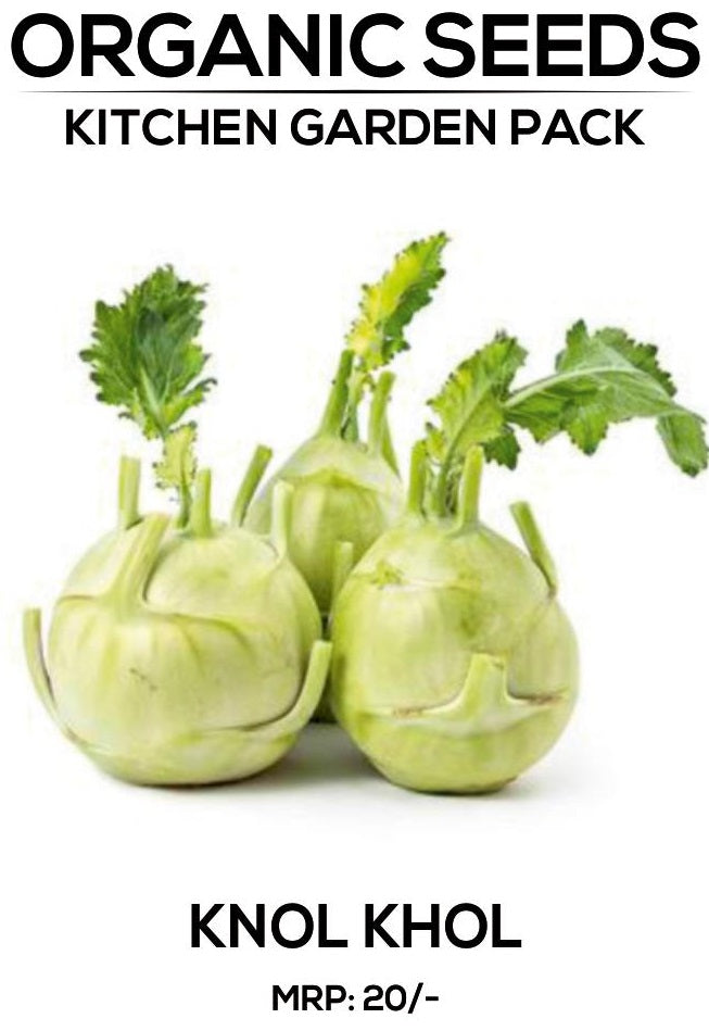Knol Khol Seeds