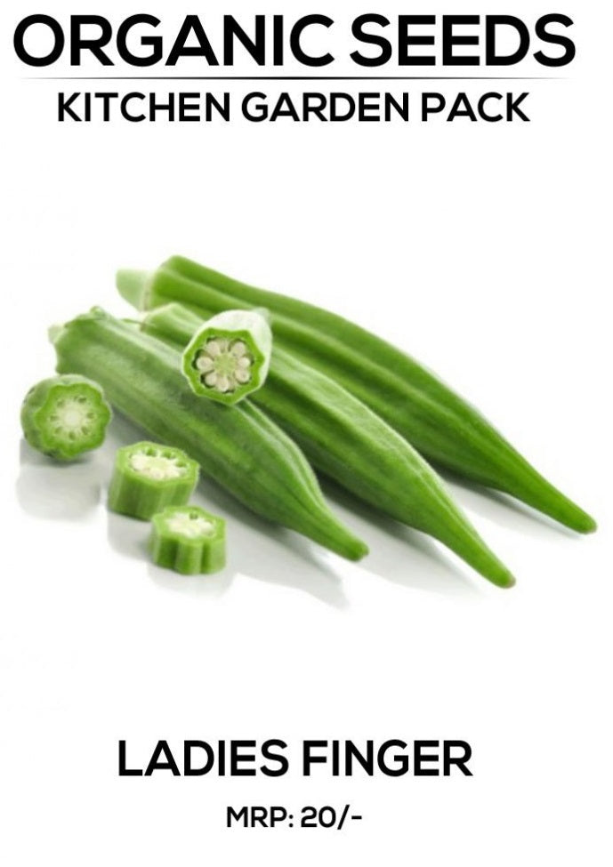 Ladies Finger Seeds