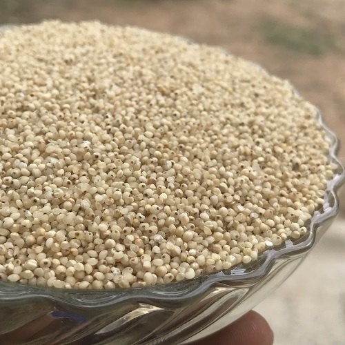 Millets Diet Combo Pack of 5 ( Little Millet, Kodo Millet, Barnyard Millet, Foxtail Millet & Browntop Millet - Each 1 Kg)