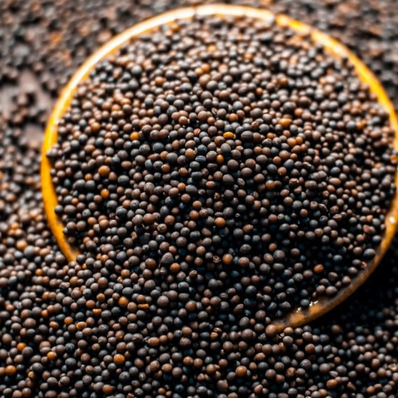 Mustard Black (Naturally Grown)