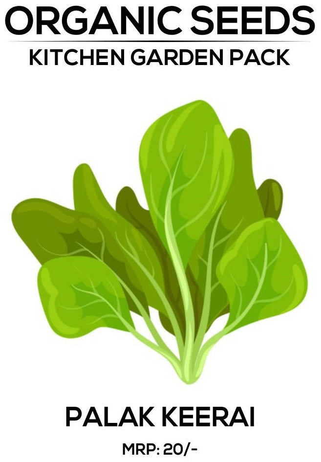 Palak Seeds