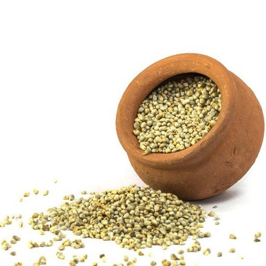 Naati Pearl Millet ( Sajje / Sajjalu / Kambu / Bajra / Kambam ) - Desi Variety