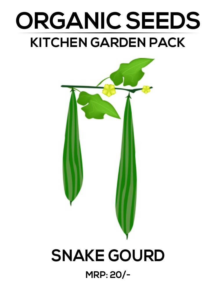 Snake Gourd Seeds