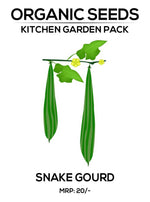 Snake Gourd Seeds