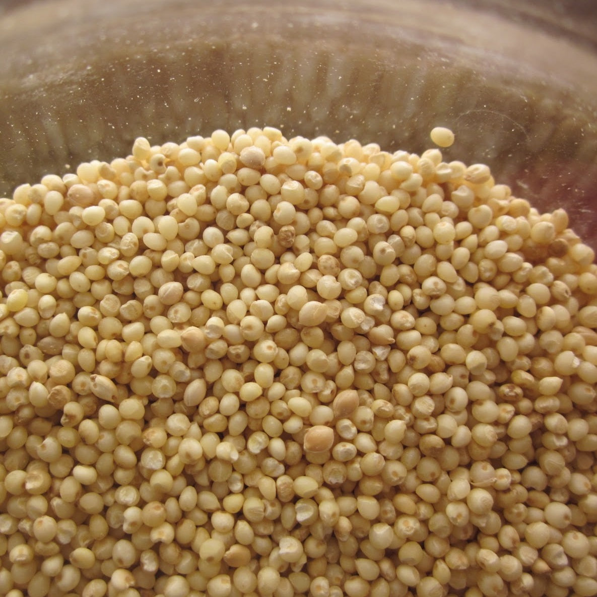 Unpolished Kodo Millet ( Harka / Arikelu / Varagu / Koden / Koovaragu - Naturally Grown )