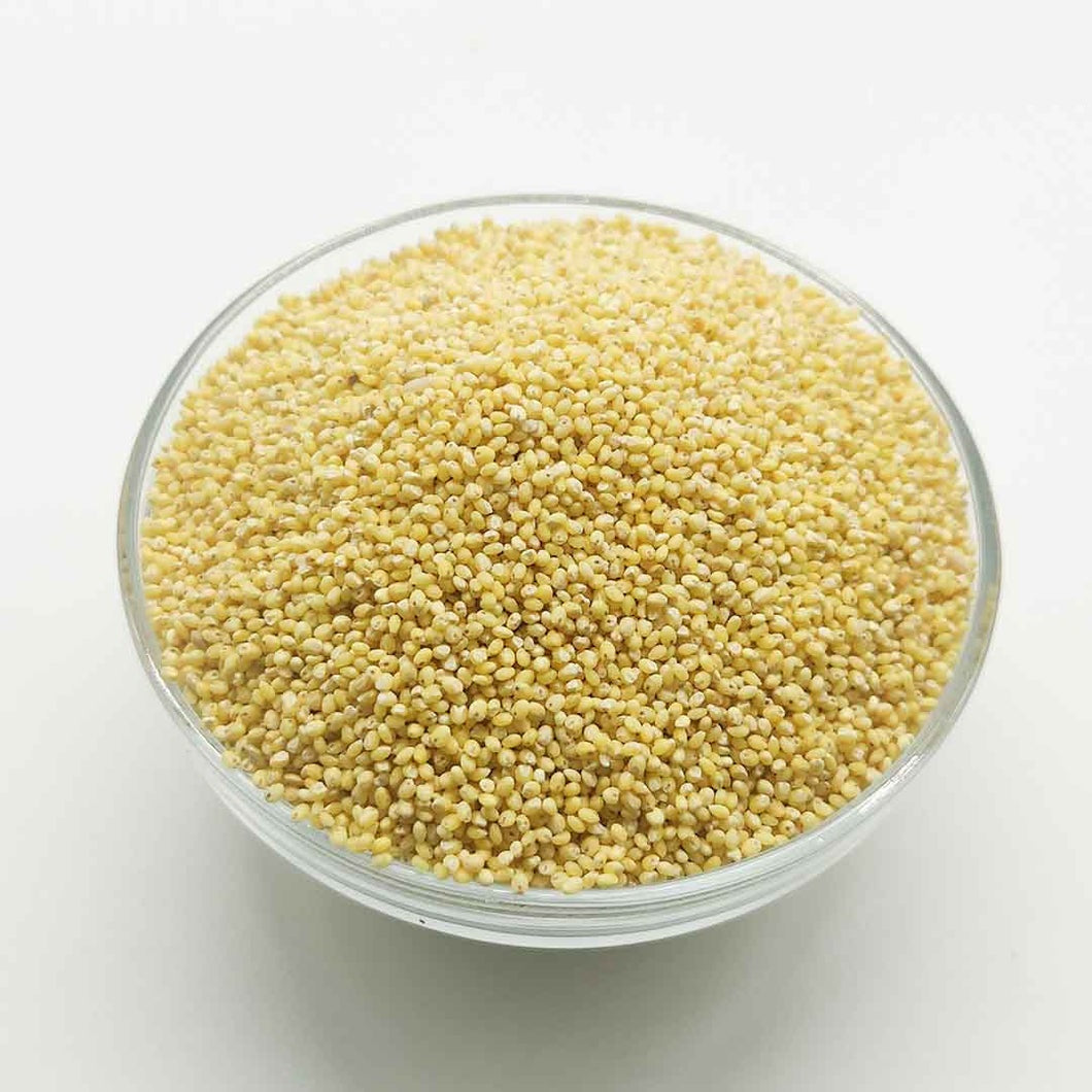 Unpolished Proso Millet ( Baragu / Varigulu / Pani Varagu / Barri - Naturally Grown )