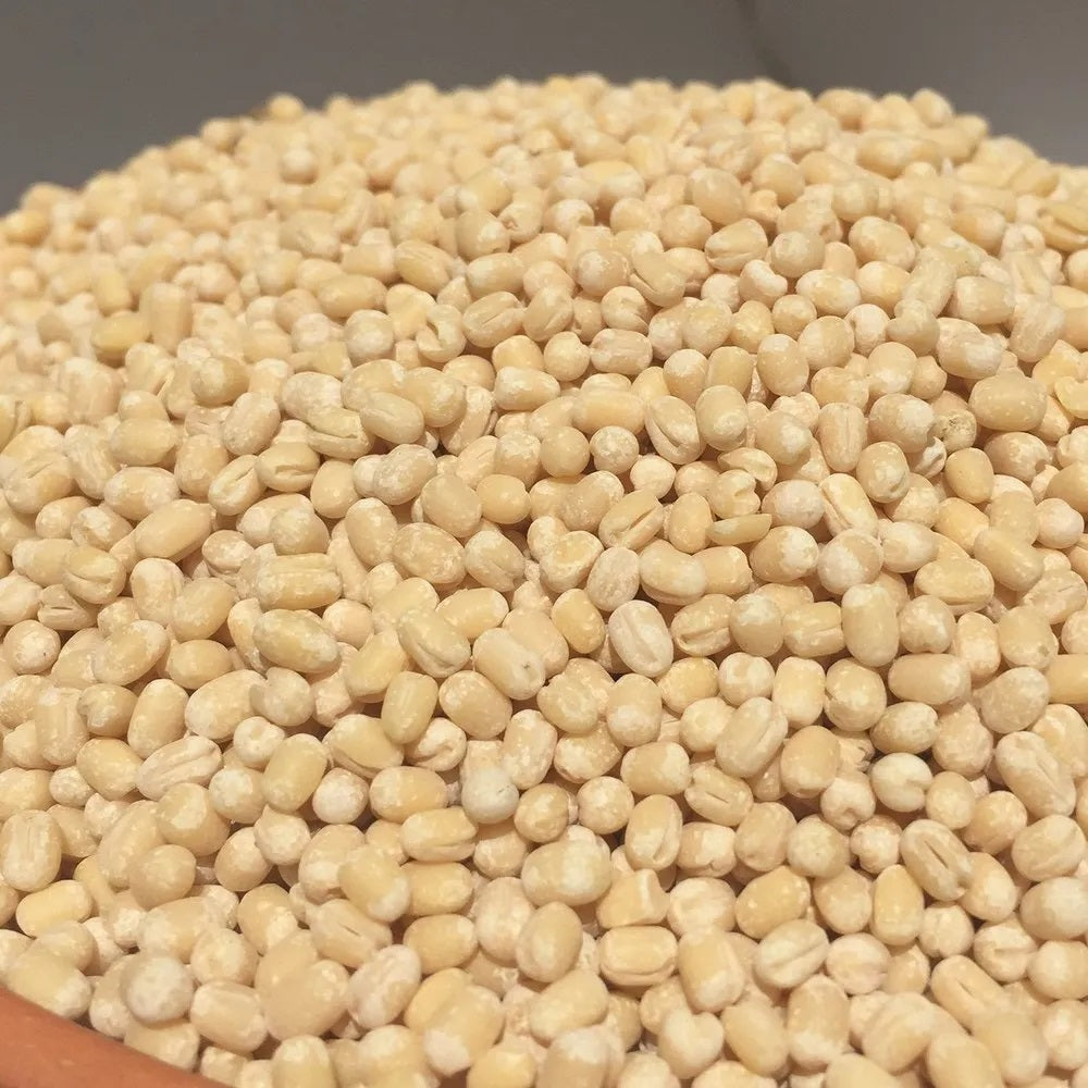 Urad Dhal Whole (Naturally Grown) - உளுத்தம் பருப்பு - ಉದ್ದಿನ ಬೇಳೆ - మినప్పప్పు - ഉഴുന്ന് പരിപ്പ്