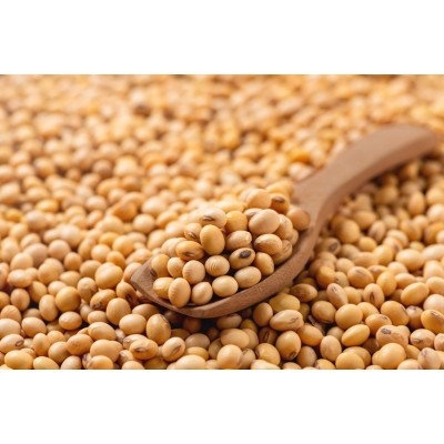 Soya Bean Whole (Naturally Grown / Rich in Fiber and Protein)