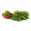 Moringa Leaves Raw Powder