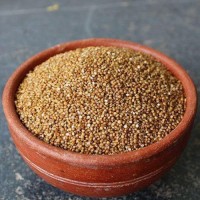 Unpolished Kodo Millet ( Harka / Arikelu / Varagu / Koden / Koovaragu - Naturally Grown )