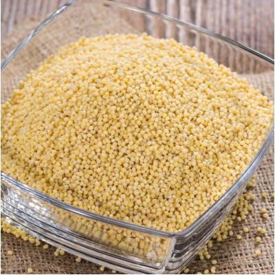 Unpolished Little Millet ( Saame / Samalu / Samai / Kutki / Chama - Naturally Grown )