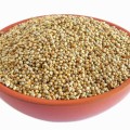 Naati Pearl Millet ( Sajje / Sajjalu / Kambu / Bajra / Kambam ) - Desi Variety