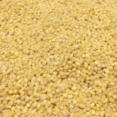 Unpolished Proso Millet ( Baragu / Varigulu / Pani Varagu / Barri - Naturally Grown )