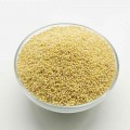 Unpolished Proso Millet ( Baragu / Varigulu / Pani Varagu / Barri - Naturally Grown )