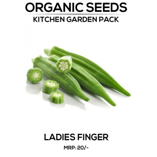 Ladies Finger Seeds