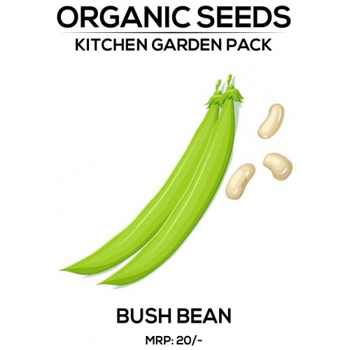 Bush Bean Seeds