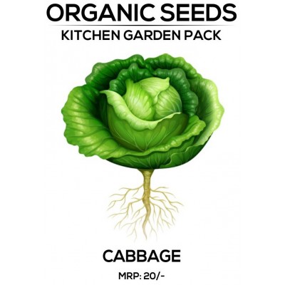 Cabbage Seeds