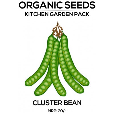 Cluster Bean Seeds