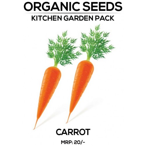 Carrot Seeds