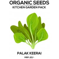 Palak Seeds