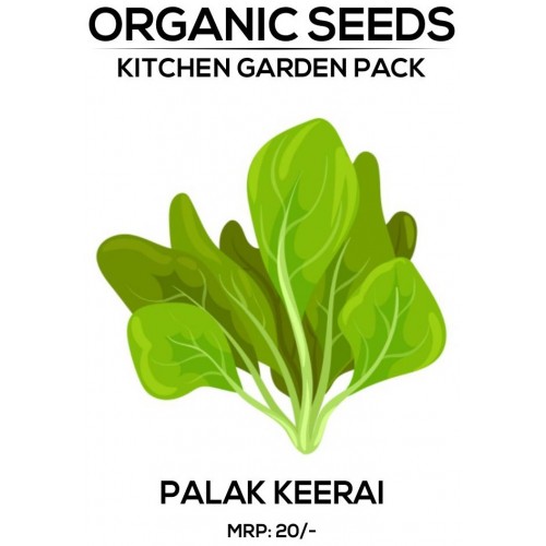 Palak Seeds