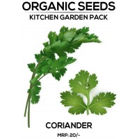 Coriander Seeds