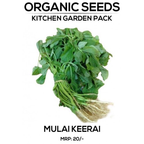 Mulai Keerai Seeds