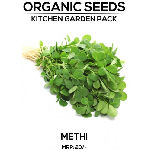 Methi Seeds