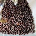 Mustard Black (Naturally Grown)
