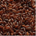 Mapillai Samba Rice (Traditional Rice / Naturally Grown)