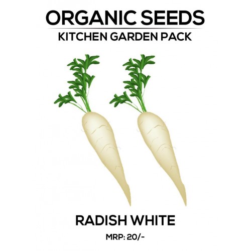 Radish White Seeds